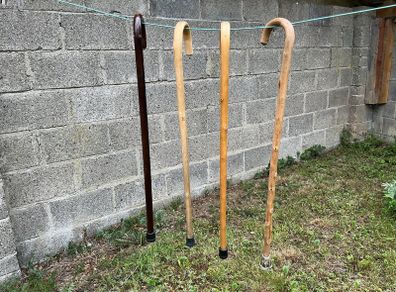 Walking sticks