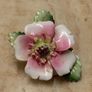 English Bone China Flower Brooches - Royal Adderley & Staffordshire Image 3
