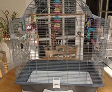 Bird cage
