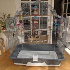 Bird cage