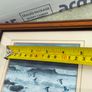 Set of 2 framed prints by Julian Friers is a renowned Irish wildlife painter Image 5