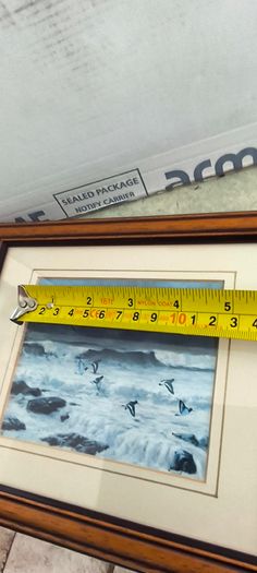 Set of 2 framed prints by Julian Friers is a renowned Irish wildlife painter