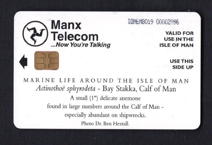 1999 Isle of Man UK3/ 33 units Anemone (Actinothoe sphyrodeta) (Siemens - S35 (Module 35)) Phone Card