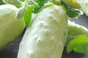 (C) White Cucumer White Wonder seeds 2g (180474)