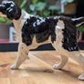Beswick dog figurine Image 9