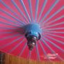 chinese parasol Image 5