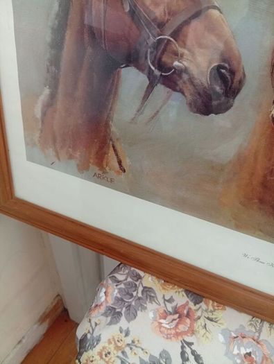 Red rum .arkle and desert orchid picture