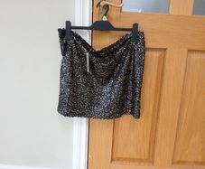 Sequin Skirt