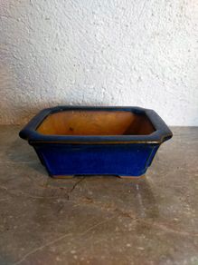 Small Bonsai Pot #6