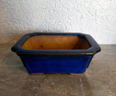 Small Bonsai Pot #6
