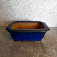 Small Bonsai Pot #6