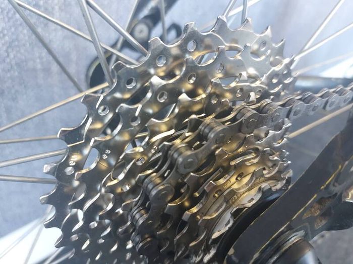 Tifosi Road Bike