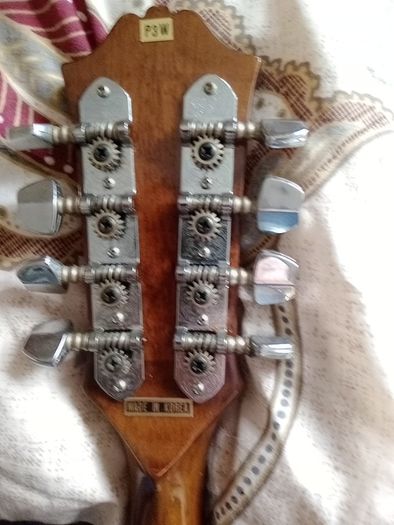 Palmer mandolin P3W  late 70s r early 80s and gigbag