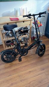 bike Fiido D3 pro