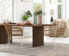 Set of 2 bohemian design dining chairs with resin wicker seat and white steel base