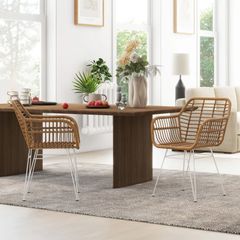 Set of 2 bohemian design dining chairs with resin wicker seat and white steel base