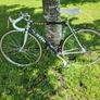 vitus kas Image 2