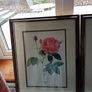 Framed Prints Image 4