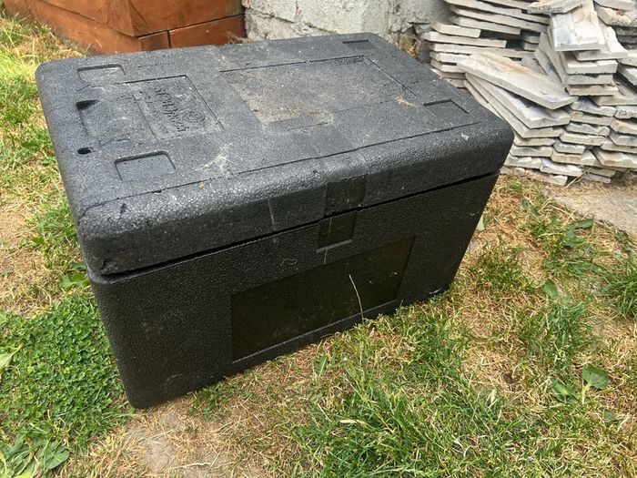 Large styrofoam box with ice packs
