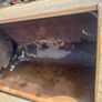 4ft bucket Image 5
