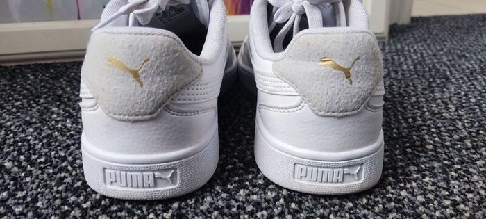 trainers puma