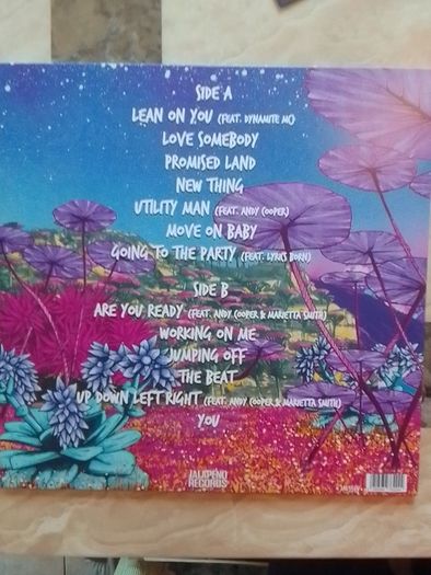 The Allergies LP - Promised Land (Pink)