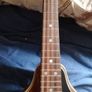 Palmer mandolin P3W  late 70s r early 80s and gigbag Image 4
