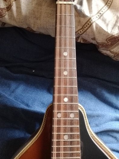 Palmer mandolin P3W  late 70s r early 80s and gigbag