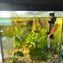 Fish tank, 80L Image 2