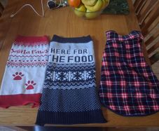 Small dogs/puppy coats/ jumpers and fleeces/coats stylish look