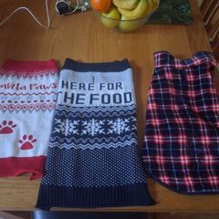 Small dogs/puppy coats/ jumpers and fleeces/coats stylish look