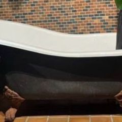 bath