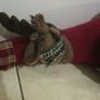 Christmas  santa draught excluder Image 2