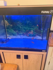Two Fluval fish tanks and a unit including all accessories required
