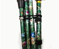 Folding Walking Stick, Green Floral.