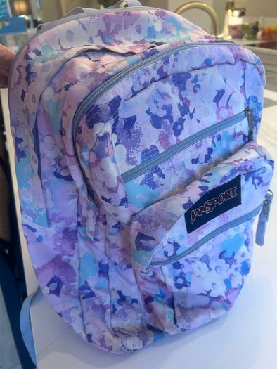 JanSport Large Backpack/Schoolbag