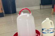 10 litre poultry drinker