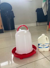 10 litre poultry drinker