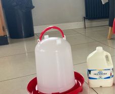 10 litre poultry drinker