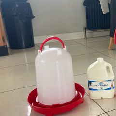10 litre poultry drinker