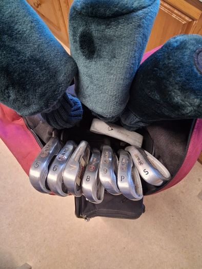 Ladies Golf Clubs. Set Of Right Handed Ladies Flex Graphite Golf Clubs In Excellent Condition. Collect In Dublin Or Receive Via Post.