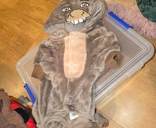Dog Outfit (Donkey from sherk)