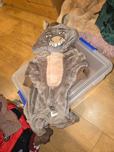 Dog Outfit (Donkey from sherk)