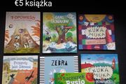 Polish books ksiazki dla dzieci na 3+ 4+ nowe