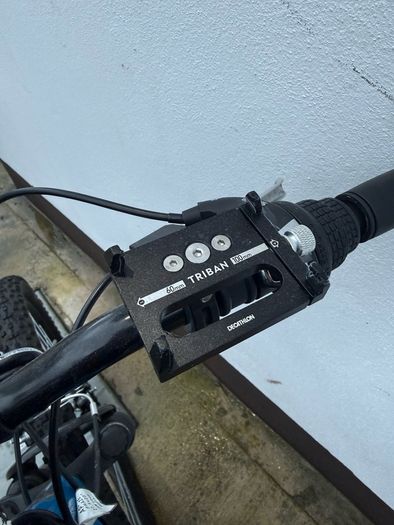 Adult Bike