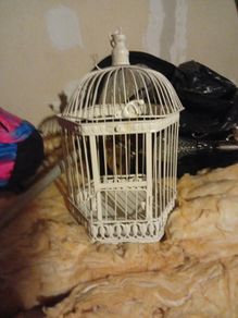 bird cage