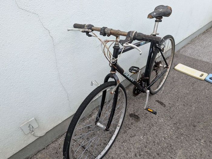 Project Giant Bicycle
