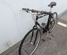 Project Giant Bicycle