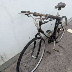Project Giant Bicycle