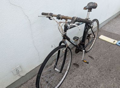 Project Giant Bicycle